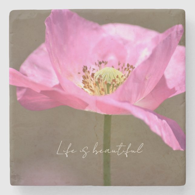 Pink Iceland Poppy Flower (photography by me) Stenunderlägg (Framsidan)