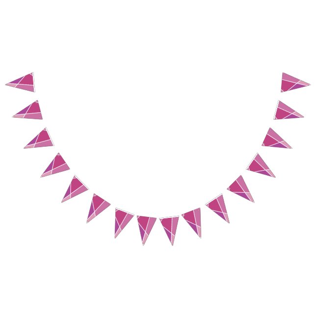 Pink JanaiCreates Color Collection Party Banner Vimplar (Alla)