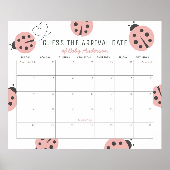 Pink Ladybugs Guess The Due Date Calendar Poster (Framsidan)