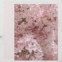 Pink lilac bloom close-up scrapbook paper