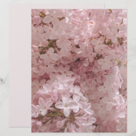 Pink lilac bloom close-up scrapbook paper