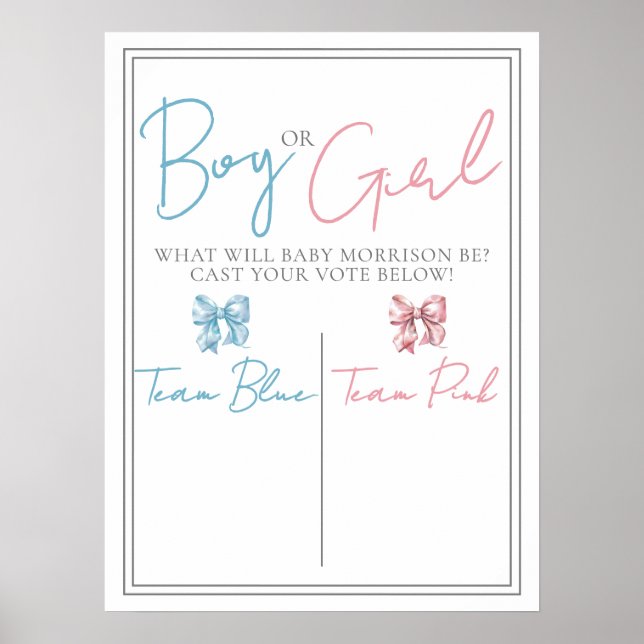 Pink Or Blue Gender Reveal Party Vote Sign Poster (Framsidan)