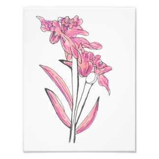Pink Orchid Print Fototryck