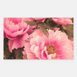 Pink Peony Flower Rektangulärt Klistermärke
