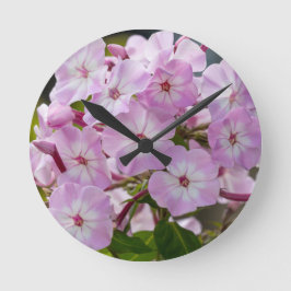 Pink Phlox Rund Klocka