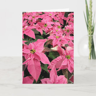 Pink Poinsietta Christmas Card Helgkort