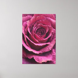 Pink Rose Close-Up Texture Abstract Wall Art Canvastryck