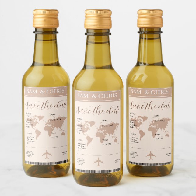 Pink Salmon Boarding Pass World Map Travel Vinetikett (Flaskor)