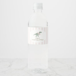 Pink T Rex Tutu Girl Birthday Water Bottle Labels Vattenflaskor Etikett