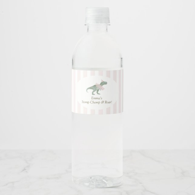 Pink T Rex Tutu Girl Birthday Water Bottle Labels Vattenflaskor Etikett (Framsida)