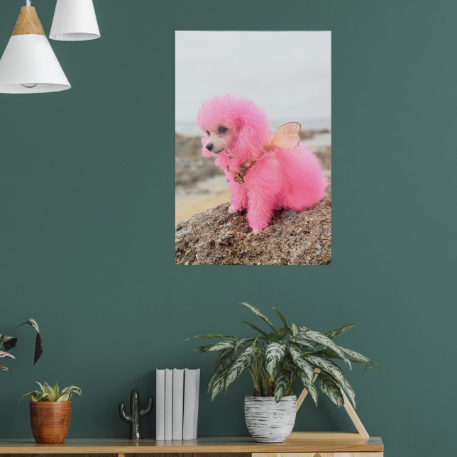 PINK TOY POODLE AT THE BEACH POSTER (Vardagsrum 1)
