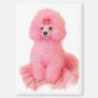 pink toy poodle magnet, pink poodle, refrigerator magnet