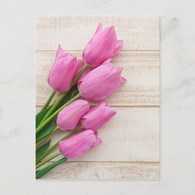 pink tulips | birthday | mothersday | vykort (Framsida)