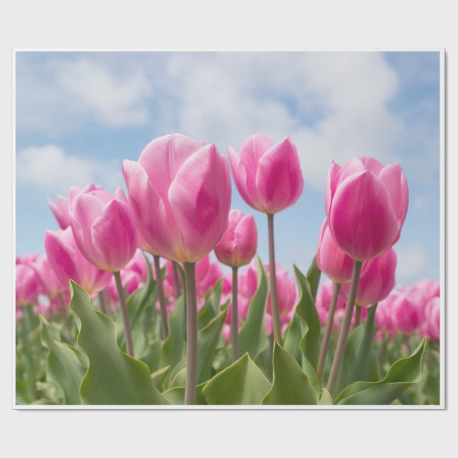 Pink Tulips Wrapping Paper  Presentpapper (Platt)