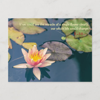 Pink Water Lily and Buddha Quote Vykort