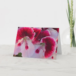 Pink & White Flowers Blank Notecard Kort