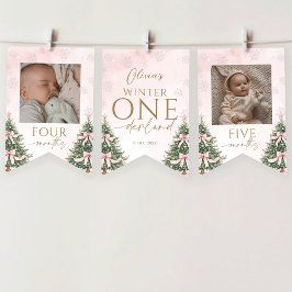 Pink Winter Onederland 1st Birthday Monthly Photo Vimplar