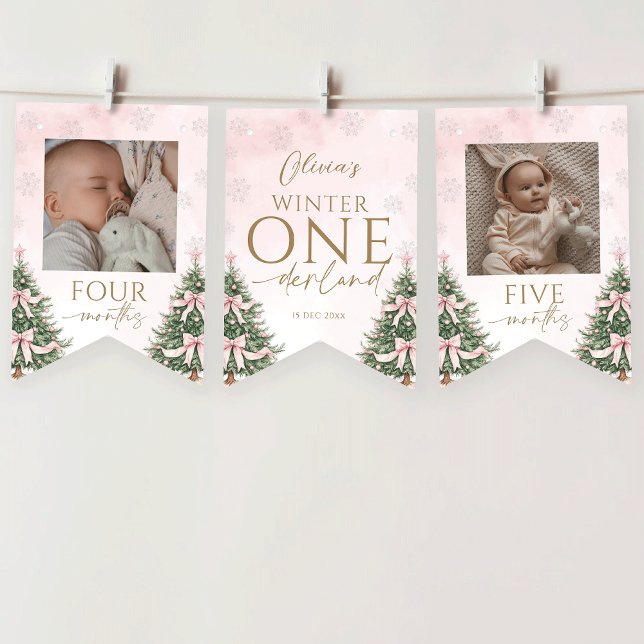 Pink Winter Onederland 1st Birthday Monthly Photo Vimplar (Skapare uppladdad)