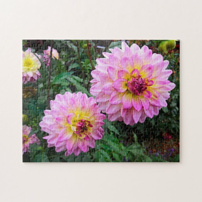 Pink Yellow Flowers blooming aesthetic Photo -  Pussel (Horisontell)