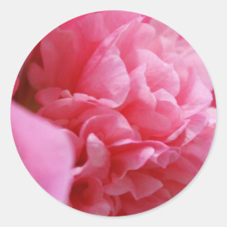 Pinkalicious Stickers Runt Klistermärke