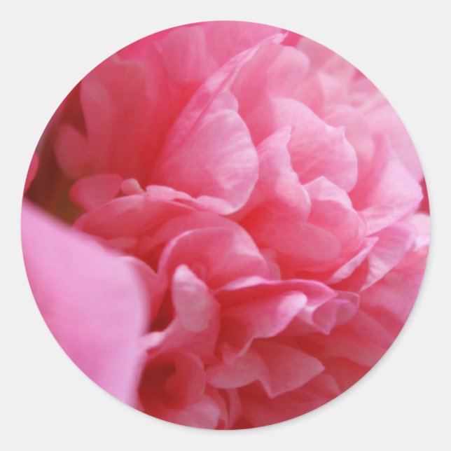 Pinkalicious Stickers Runt Klistermärke (Framsida)