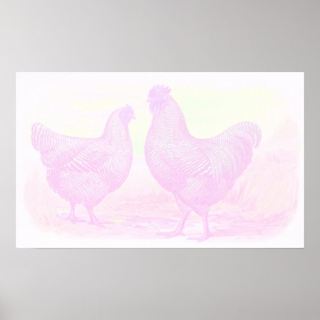 PinkFoam Canvas Poster (Framsidan)