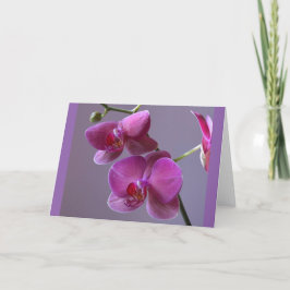 Pinkish lila Phalaenopsis eller chid-hälsningskort Kort