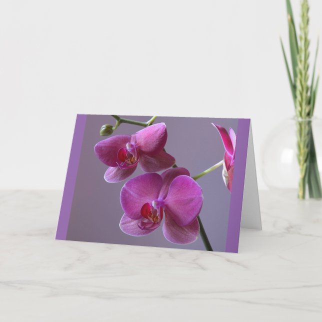 Pinkish lila Phalaenopsis eller chid-hälsningskort Kort (Framsida)