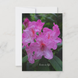 Pinkish Lila Rododendron Anteckningskort