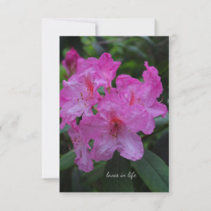 Pinkish Lila Rododendron Anteckningskort