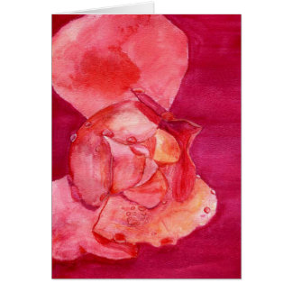 pinkrose hälsningskort