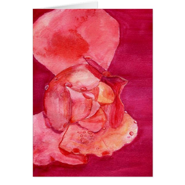 pinkrose hälsningskort (Framsidan)