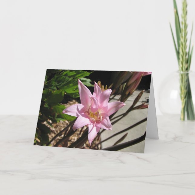 pinks helgkort (Framsida)