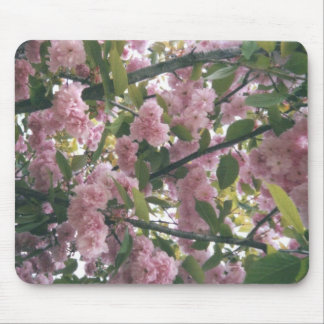 pinkspringtrees 001 musmatta