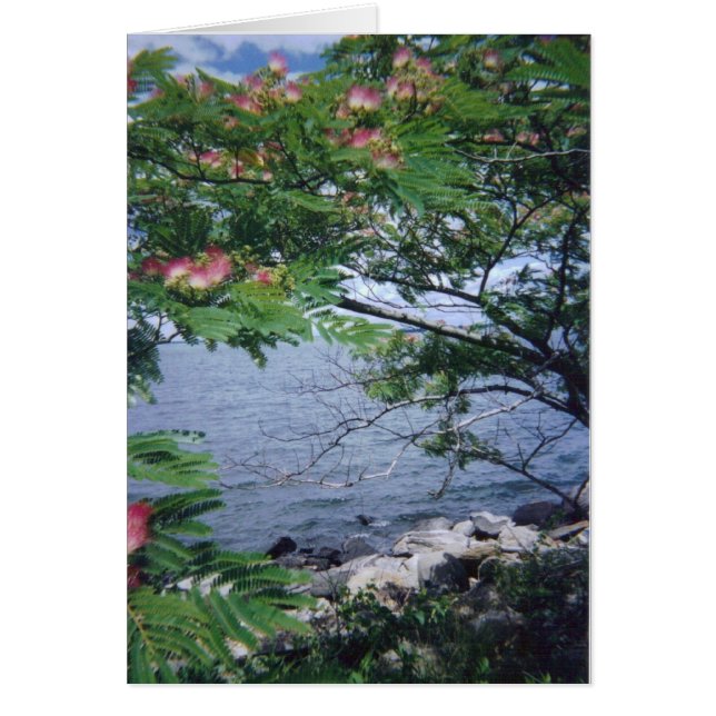 pinktreewaterview 001 hälsningskort (Framsidan)