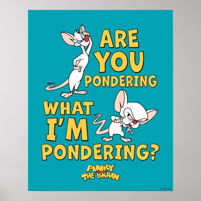 Pinky och hjärnan | Är du påvens? Poster (Framsidan)