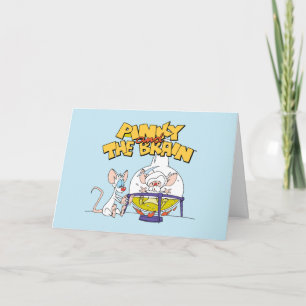 Pinky och hjärnan Laboratorievetenskap Kort