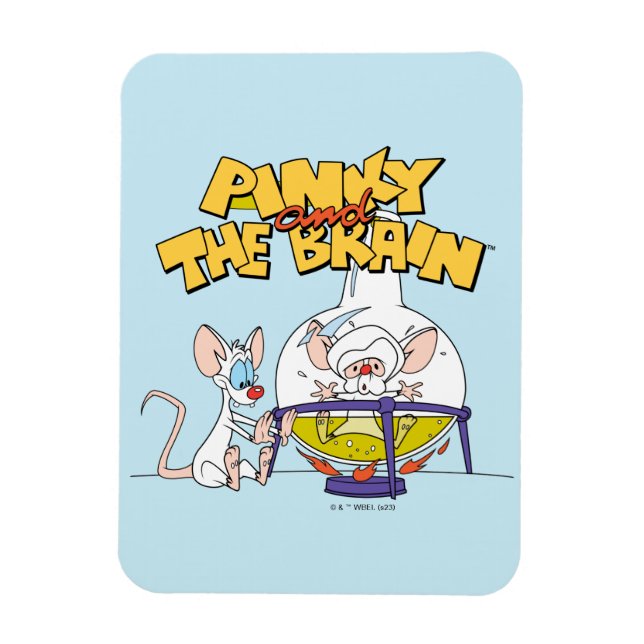 Pinky och hjärnan | Laboratorievetenskap Magnet (Vertikal)