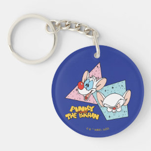 Pinky och hjärnan Retroteckengrafik
