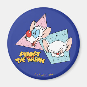 Pinky och hjärnan Retroteckengrafik Magnet