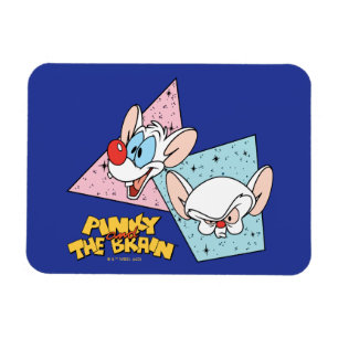 Pinky och hjärnan Retroteckengrafik Magnet