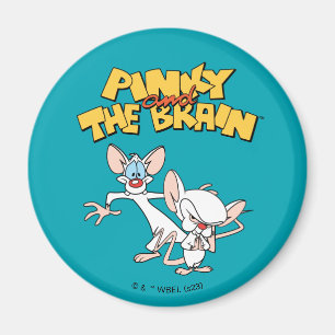 Pinky och hjärnan Visa Logotyp Magnet