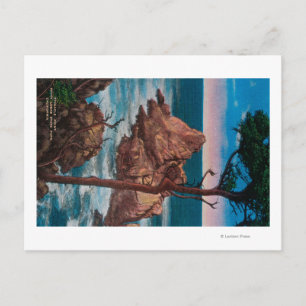 Pinnacle Point, Point Lobas State Park Vykort