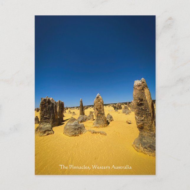 Pinnacles, Westerna Australiens vykort (Framsida)