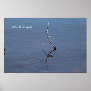 Pinne i vattnet poster