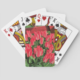 Pinocchio Tulips Casinokort