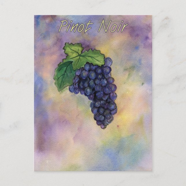 Pinot Noir Vin Grapes Art-vykort Vykort (Framsida)