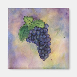 Pinot Noir Vin Grapes Magnet