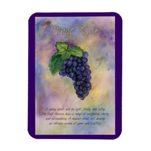 Pinot Noir Vin Graphir målar Art Magnet