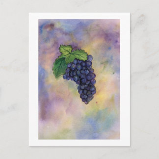 Pinot Noir Vin Graps vycard Vykort